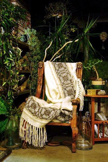 Photo of the throw in a greenhouse study