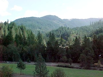 south view