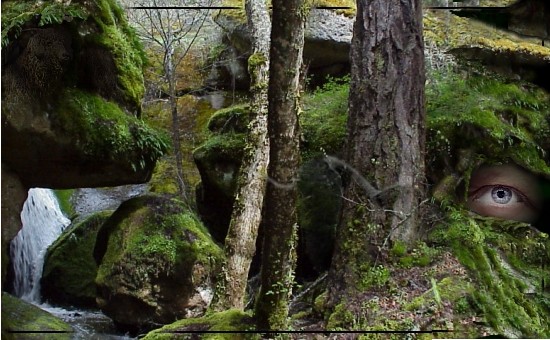 surrealistic image of a buck angora at singing falls