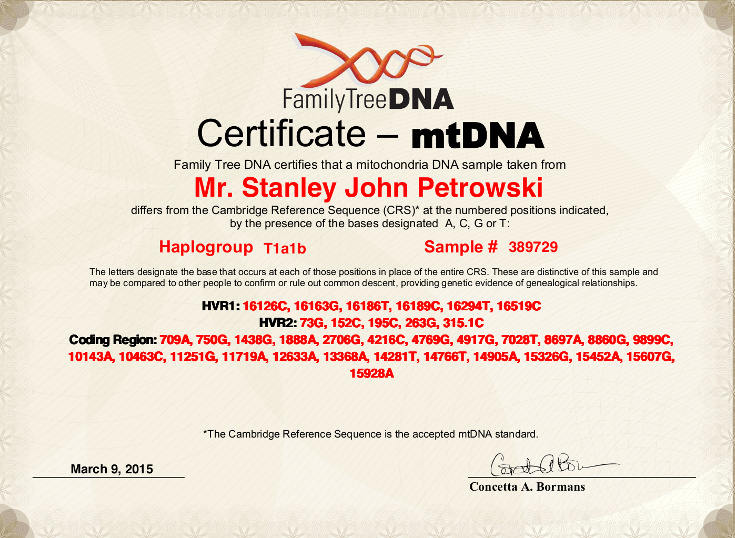mtDNA.jpg