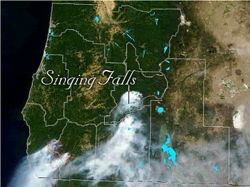 Tiller region satellite of the fire zone