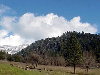 Umpqua National Forest