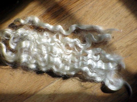 close up of washed mohair lock