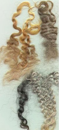 mohair locks for textilists, fiber crafters, spinners and hobbyists