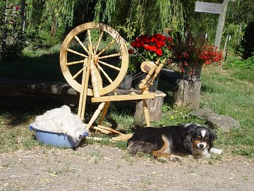 the spinning wheel with Acuva