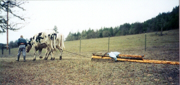 hauling fire wood