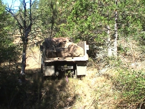 Alexandra Creek Delivery