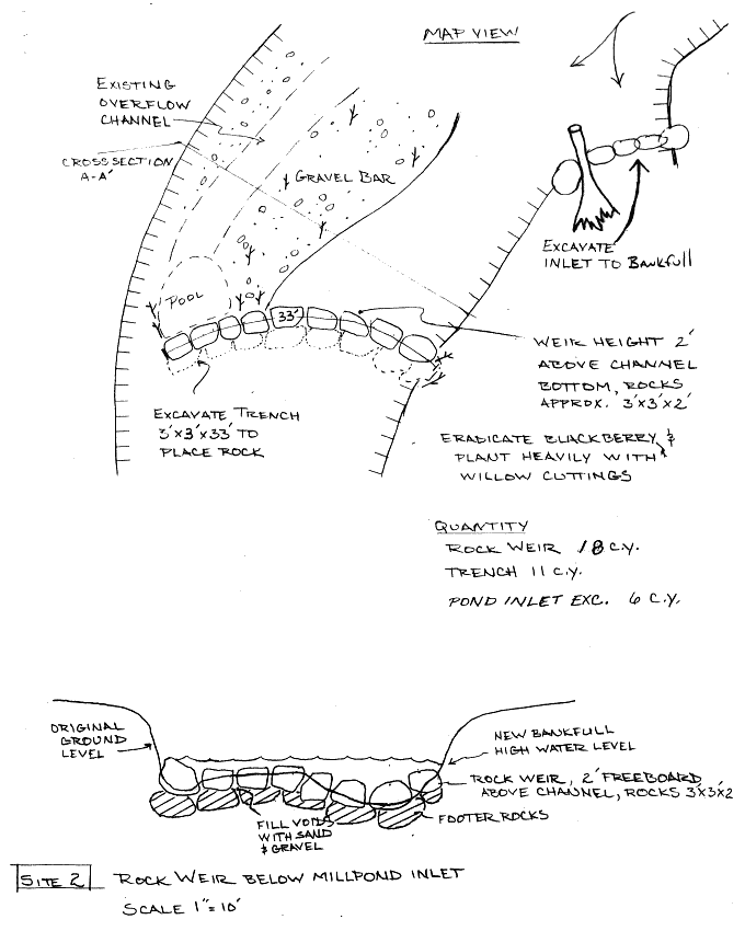 site design 