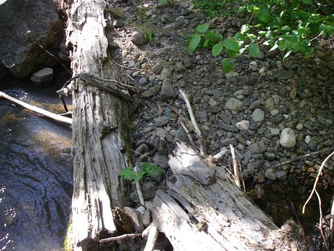 a natural weir