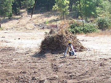 piled blackberries