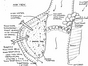 click here to view thumbnail image