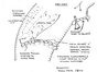 click here to view thumbnail image