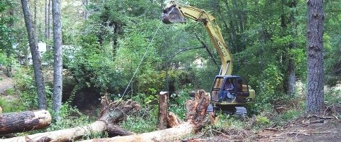 ground based placement image of the excavator placing logs