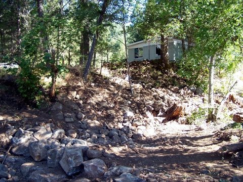 stabilizing the stream bank