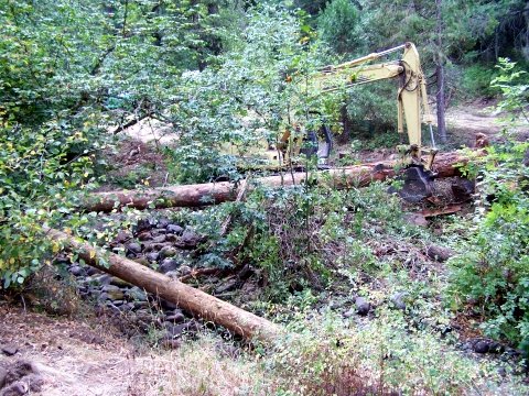 large wood placement