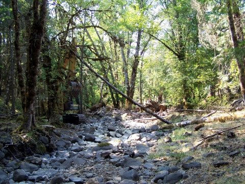 large wood placement