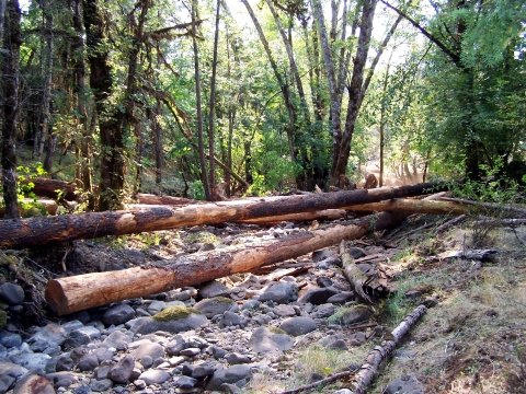 large wood placement