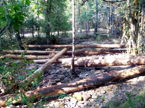 large wood placement