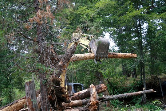 excavator log placement