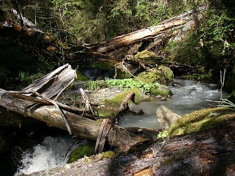 Old and New Structures