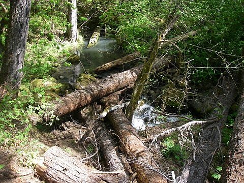 pool enhancement structures