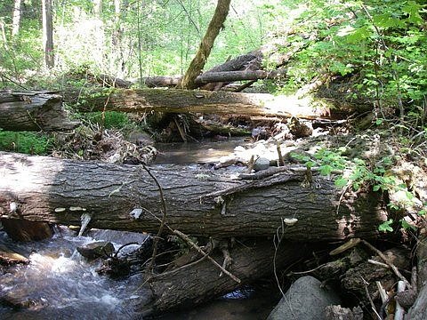 Velocity and Aggradation