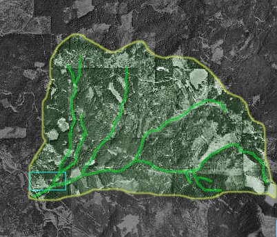 areal of the treatment area areal image