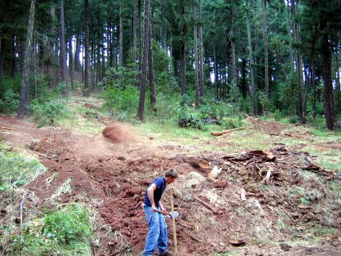 ecological impact images