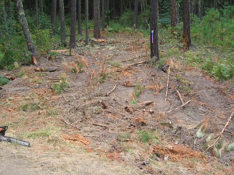 ecological impact images