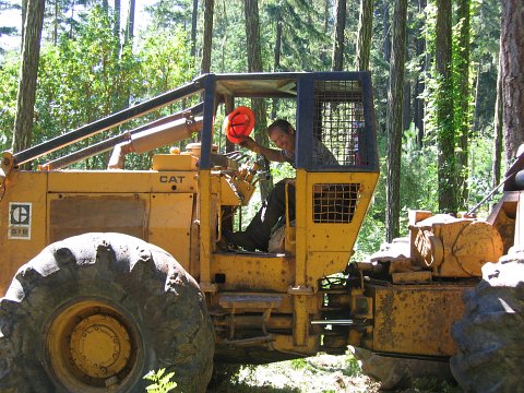 log skidder Ben Rentz