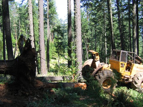 skidder image