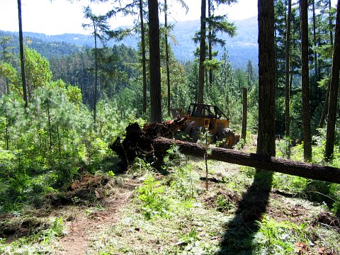 skidder image