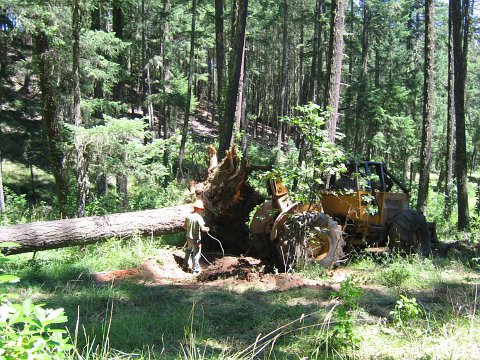 skidder image