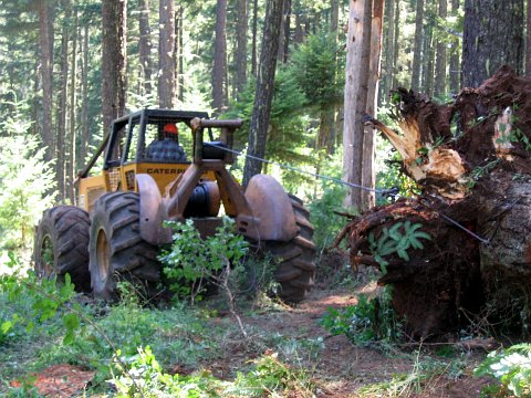 skidder image
