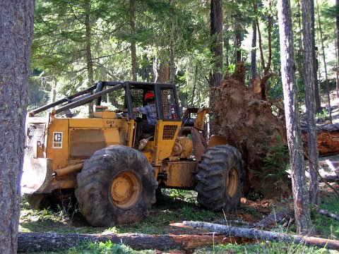 skidder image