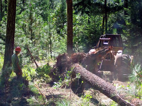 skidder image