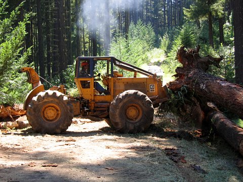 skidder image