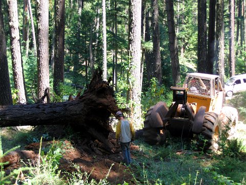 skidder image