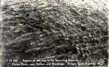 coastal spawning grounds