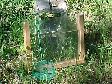 fry catching and viewing tools