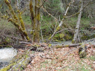 sites image illustrating project progress