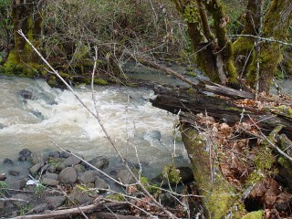 sites image illustrating project progress