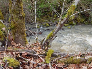 sites image illustrating project progress