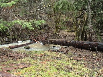 sites image illustrating project progress