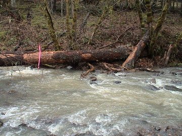 sites image illustrating project progress