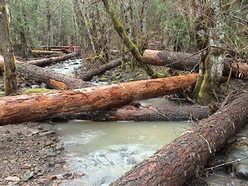 sites image illustrating project progress