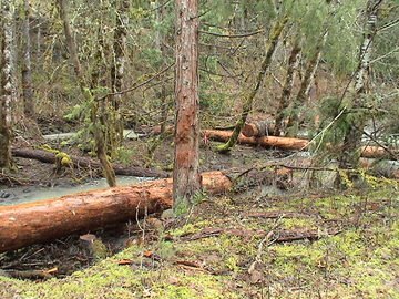 sites image illustrating project progress