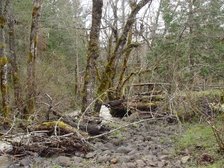 sites image illustrating project progress