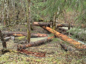 sites image illustrating project progress