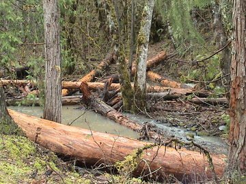 sites image illustrating project progress